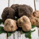 Eccellenze Nascoste: Il Tartufo Campano Protagonista tra Natura e Cucina