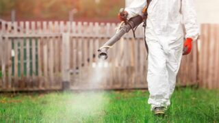 L’ASL Salerno ha predisposto servizi di derattizzazione, disinfestazione larvicida ed adulticida fino al 31 agosto