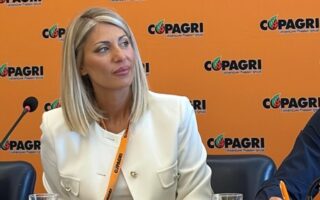 Piani di Gestione forestale: Copagri Salerno chiede snellimento burocratico e pianificazione reale per le aree interne
