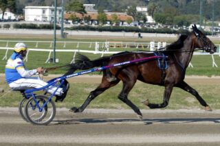 Intitoliamo l’Ippodromo di Agnano a Varenne il più grande trottatore di tutti i tempi morto da quale giorno. E’ giusto che Napoli riservi allo straordinario cavallo 31enne