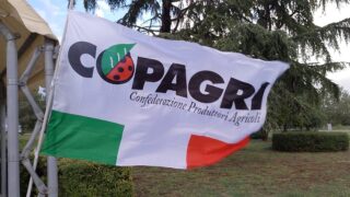 Agricoltura, non c’è più tempo: L’allarme della Copagri e della presidente regionale Angela Pisacane per difendere il reddito di chi lavora la terra